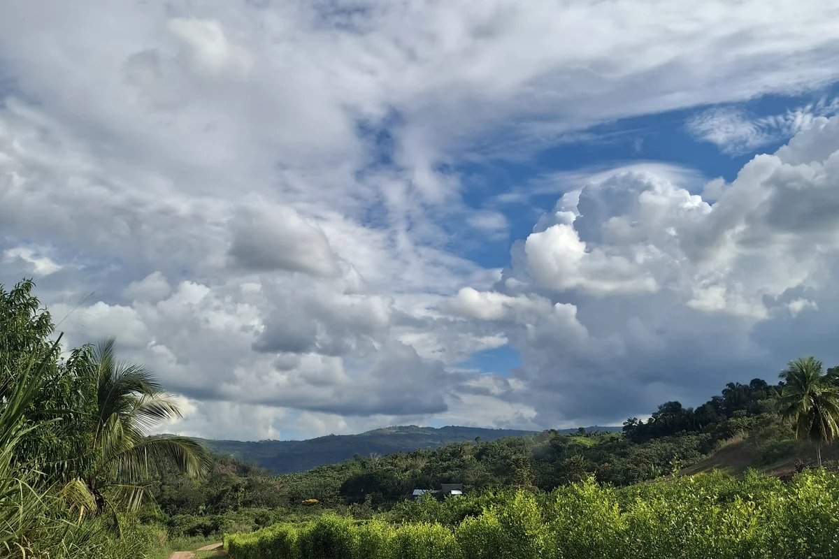 Cielos limpios y microclima en Lamas